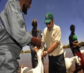 José Graziano da Silva, director de la FAO